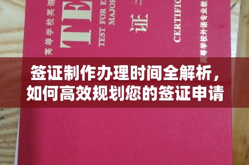 丽江签证制作办理时间全解析，如何高效规划您的签证申请流程