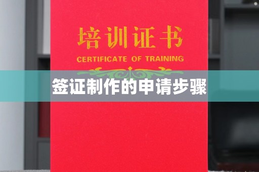丽江签证制作的申请步骤