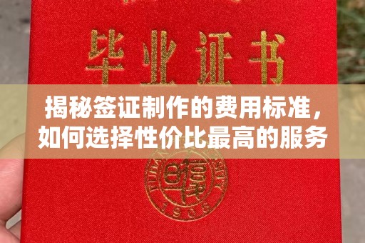 丽江揭秘签证制作的费用标准，如何选择性价比最高的服务？