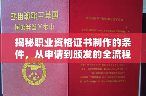 丽江揭秘职业资格证书制作的条件，从申请到颁发的全流程解析