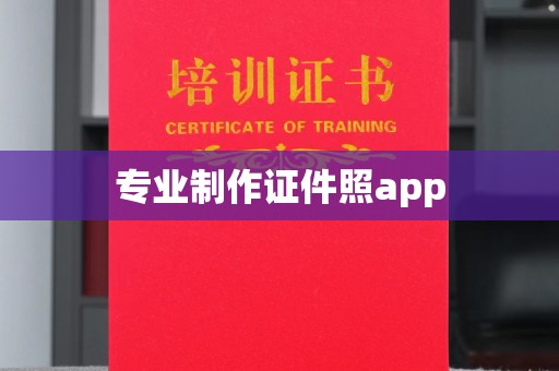 丽江专业制作证件照app