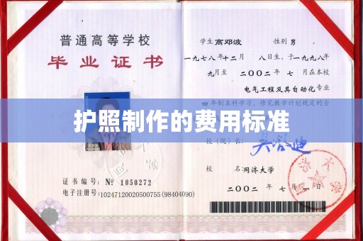 丽江护照制作的费用标准