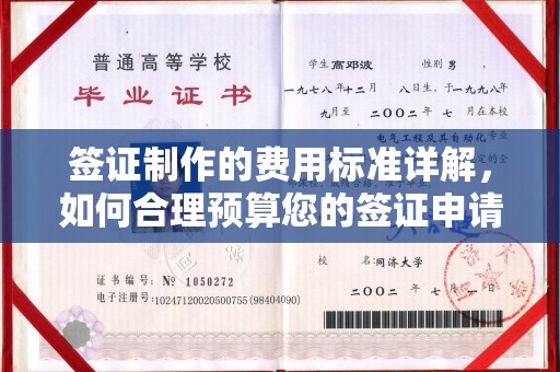 丽江签证制作的费用标准详解，如何合理预算您的签证申请成本