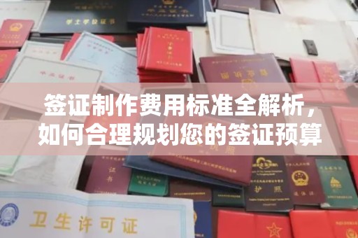 丽江签证制作费用标准全解析，如何合理规划您的签证预算？